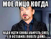 мое лицо когда надо идти снова убирать снег , а я оставила лопату дома