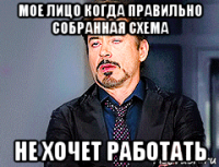мое лицо когда правильно собранная схема не хочет работать
