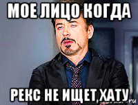 мое лицо когда рекс не ищет хату