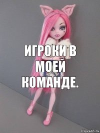 Игроки в моей команде.