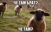 че там брат? че там?