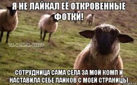 я не лайкал её откровенные фотки! сотрудница сама села за мой комп и наставила себе лайков с моей страницы