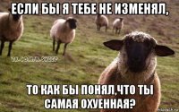 если бы я тебе не изменял, то как бы понял,что ты самая охуенная?