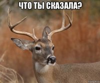 что ты сказала? 