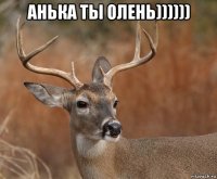 анька ты олень)))))) 