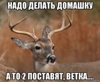 надо делать домашку а то 2 поставят, ветка....