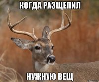 когда разщепил нужную вещ