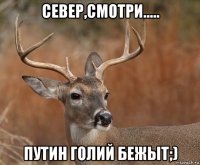 север,смотри..... путин голий бежыт;)