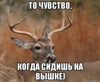 то чувство, когда сидишь на вышке)