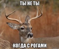 ты не ты когда с рогами