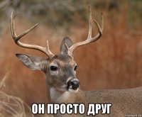  он просто друг