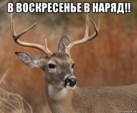 в воскресенье в наряд!! 