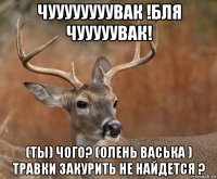 чуууууууувак !бля чууууувак! (ты) чого? (олень васька ) травки закурить не найдется ?