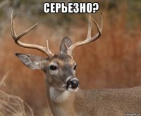 серьезно? 