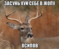 засунь хуй себе в жопу осипов