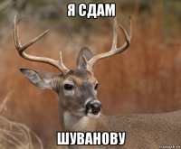 я сдам шуванову