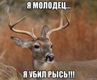 я молодец... я убил рысь!!!