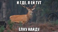 и где, я ей тут елку найду