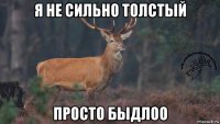 я не сильно толстый просто быдлоо