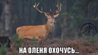  на оленя охочусь...