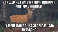 - ти де? - в гуртожитку! - включт світло в кімнаті - у мене лампочка згоріла! - ааа, ну ладно