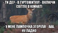 - ти де? - в гуртожитку! - включи світло в кімнаті - у мене лампочка згоріла! - ааа, ну ладно