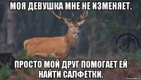 моя девушка мне не изменяет. просто мой друг помогает ей найти салфетки.