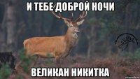 и тебе доброй ночи великан никитка