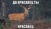 да красавец ты красавец