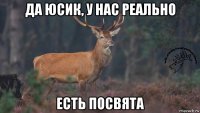 да юсик, у нас реально есть посвята