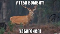 у тебя бомбит! узбагойся!