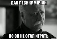 дал пёсику мячик но он не стал играть