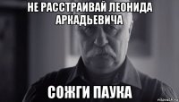 не расстраивай леонида аркадьевича сожги паука