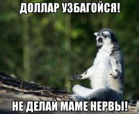 доллар узбагойся! не делай маме нервы!