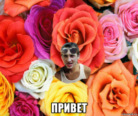  привет