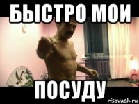 быстро мои посуду