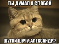 ты думал я с тобой шутки шучу, александр?