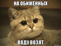 на обиженных воду возят