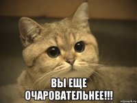  вы еще очаровательнее!!!