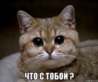  что с тобой ?