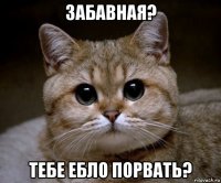 забавная? тебе ебло порвать?