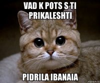 vad k pots s ti prikaleshti pidrila ibanaia