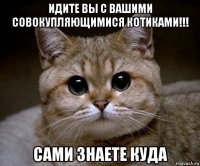 идите вы с вашими совокупляющимися котиками!!! сами знаете куда