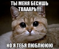 ты меня бесишь твааарь!!! но я тебя люблююю