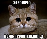 хорошего ... ночи-провождения :3