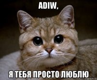 adiw, я тебя просто люблю