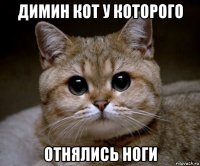 димин кот у которого отнялись ноги