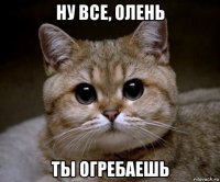 ну все, олень ты огребаешь