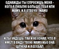 однажды ты спросишь меня - кого я люблю больше: тебя или маму, и я отвечу - маму и ты уйдёшь, так и не узнав, что я имел в виду твою маму ибо она шлюха и я её ебал