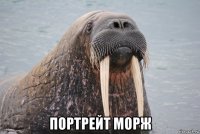  портрейт морж